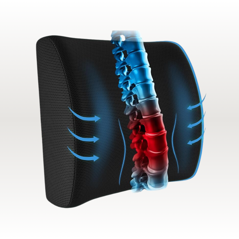 Coussin Orthopédique Dossier Cellsius - Soulage les douleurs lombaires et dorsales