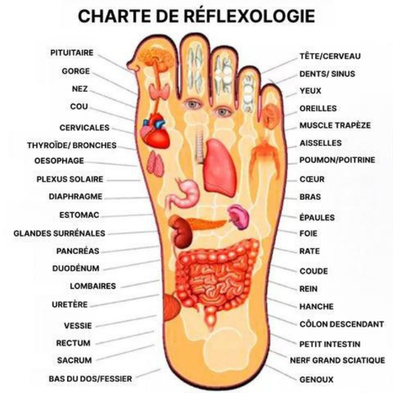 Chaussons de Réflexologie Cellsius - Marchez vers le bien-être