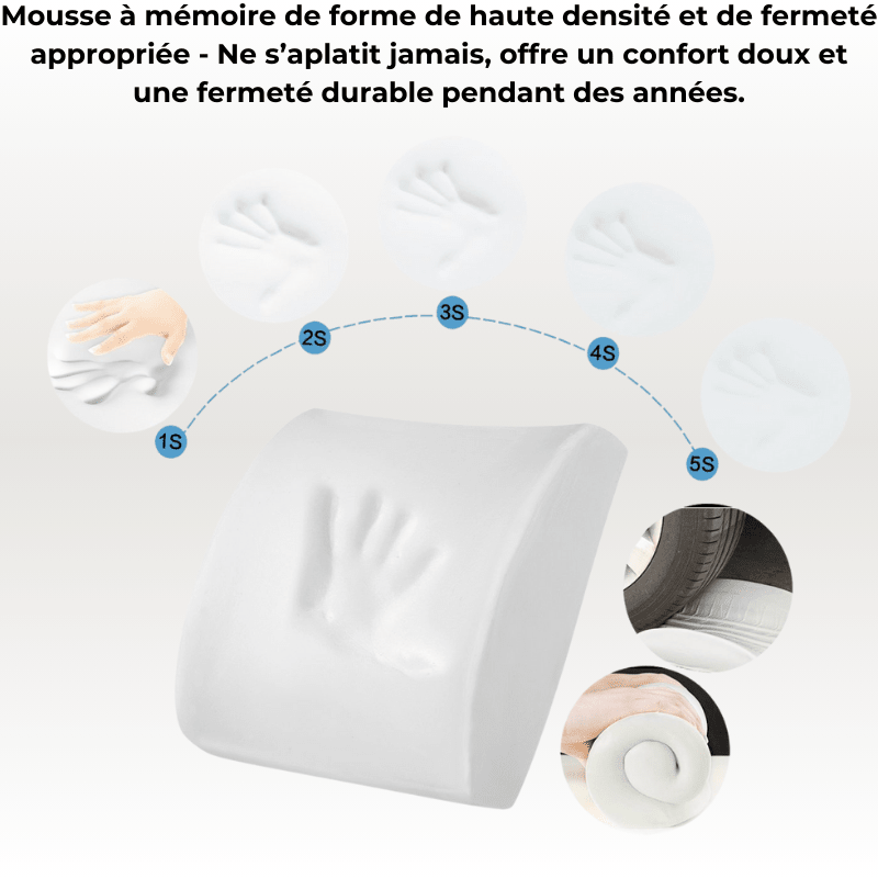 Coussin Orthopédique Dossier Cellsius - Soulage les douleurs lombaires et dorsales - FR - CELLSIUS.