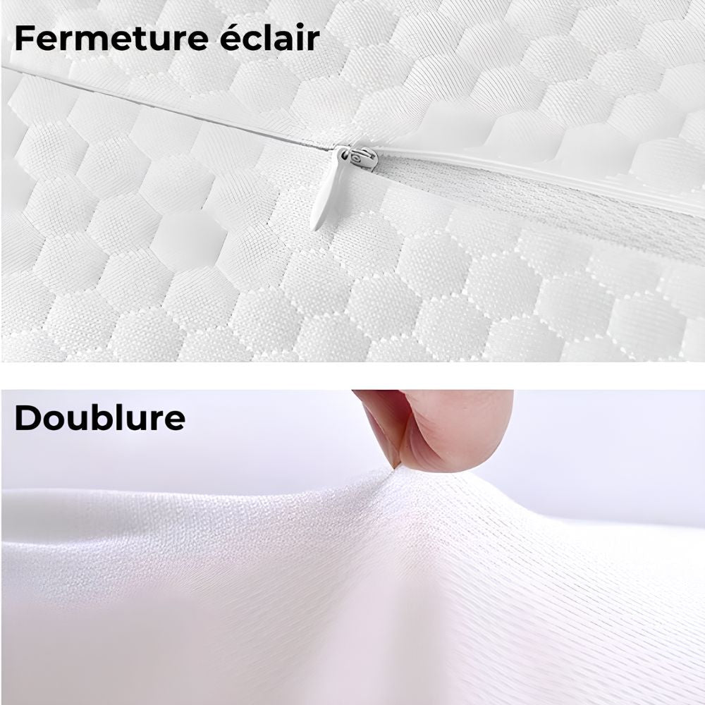 Coussin Orthopédique Lombaires Cellsius - Soulage les douleurs dorsales - FR - CELLSIUS.