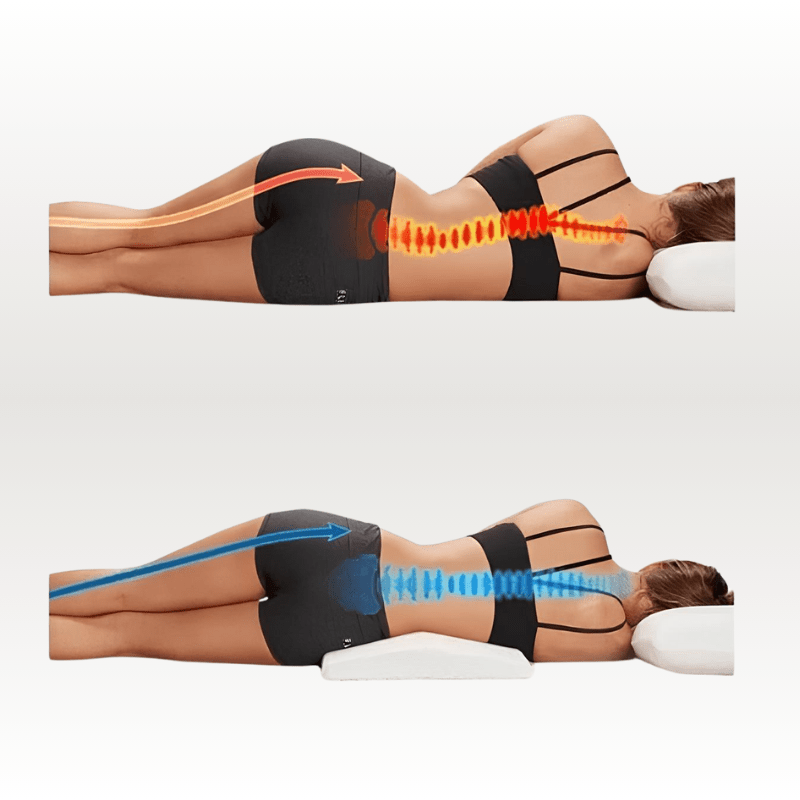 Coussin Orthopédique Lombaires Cellsius - Soulage les douleurs dorsales - FR - CELLSIUS.